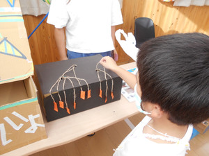 Dscn1517 Dscn1517